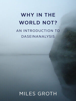 cover image of Why in the World Not? an Introduction to Daseinanalysis